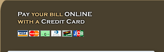 Pay your bill online with a credit card